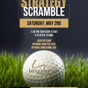 2026 Strategy Scramble